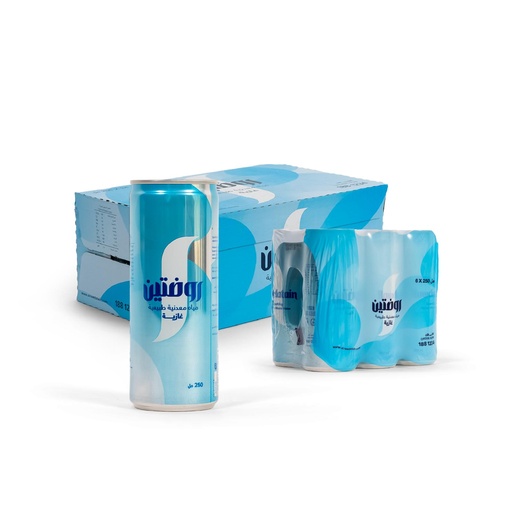 [640003] CARBONATED RAWDATAIN WATER 250 ML CANS 24 PC