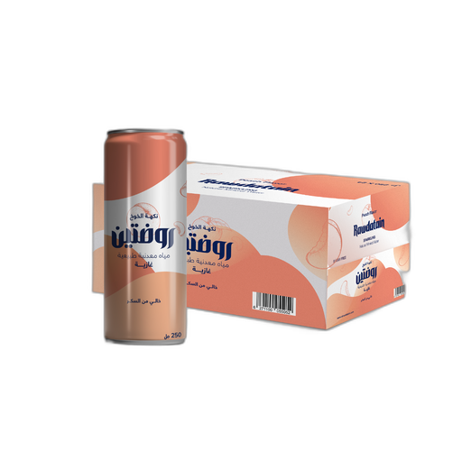 روضتين مياه غازية - نكهة الخوخ 250 مل شد 24 